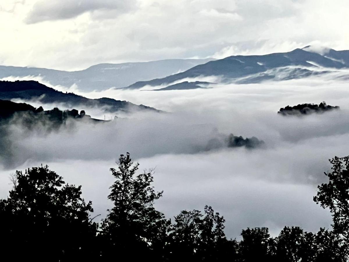 B&B Casa Dei Cuori - Natura, Silenzio, Relax A 550 M Di Quota ลางกิราโน ภายนอก รูปภาพ